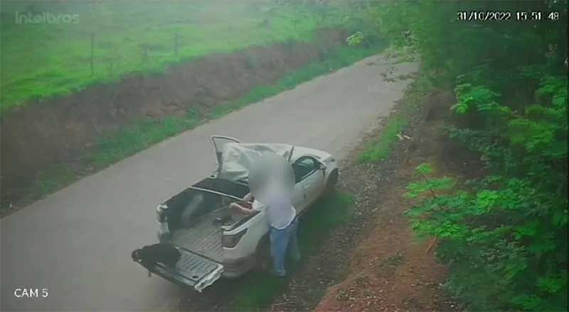 VÍDEO: motorista agride e abandona cachorros no interior de MG