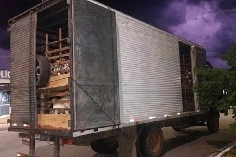 Animais são encontrados mortos, após serem colocados em caminhão de frete em Caarapó, MS