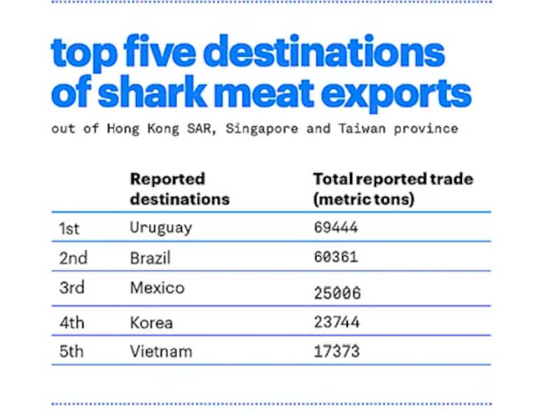 Estudo da Ifaw mostra os maiores consumidores de carne de tubarões.