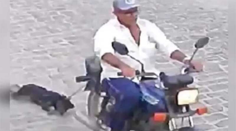 Crueldade: homem amarra cachorro em moto e o arrasta por rua, na Paraíba; VÍDEO