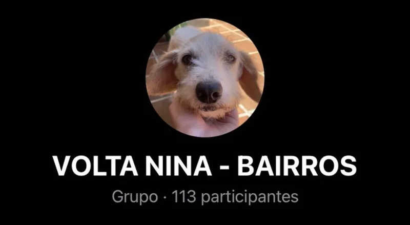 Grupo do WhatsApp reúne mais de 100 participantes em busca de Nina — Foto: Arquivo Pessoal/Fernanda Kogin
