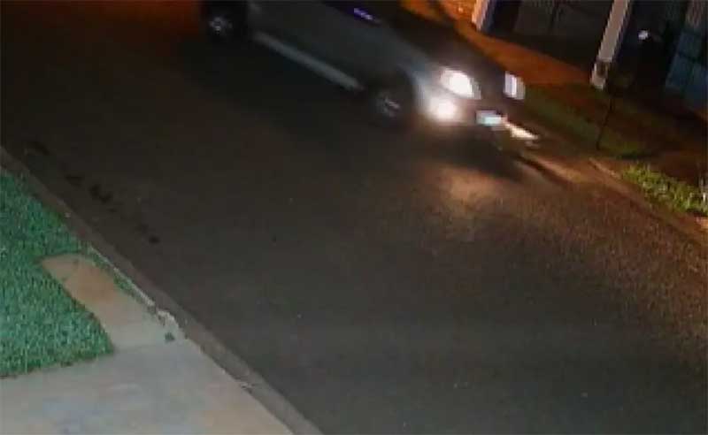 VÍDEO: motorista atropela cachorro e foge sem prestar socorro em Maringá, PR; polícia investiga
