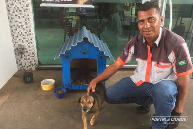 Cadela é adotada como mascote em posto de combustível de Paranavaí, PR