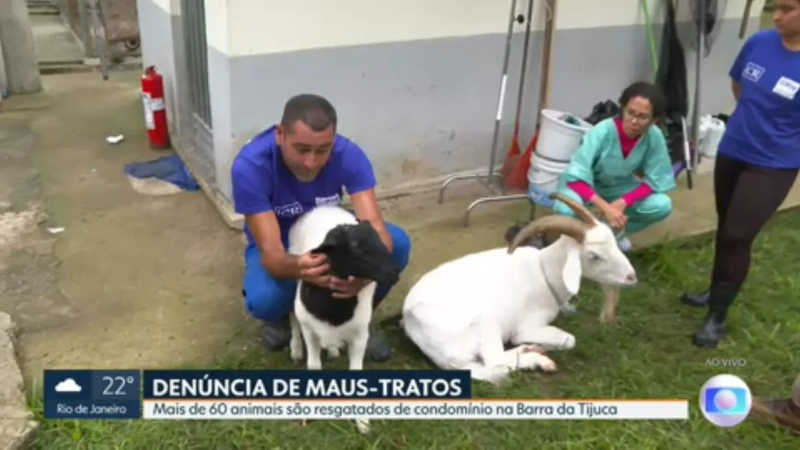 Secretaria do Rio resgata mais de 60 animais após denúncias de maus-tratos na Barra da Tijuca