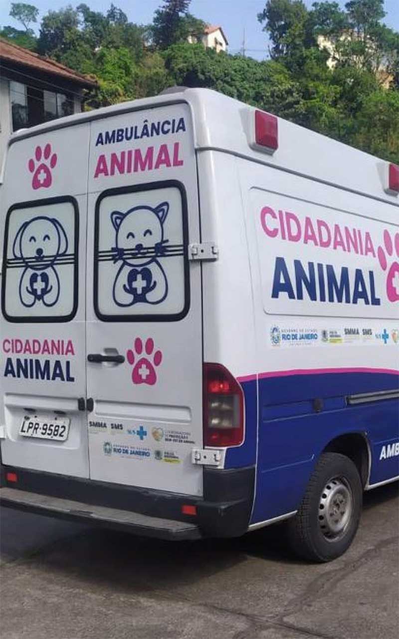 Volta Redonda (RJ) realiza mais de mil castrações gratuitas em cães e gatos