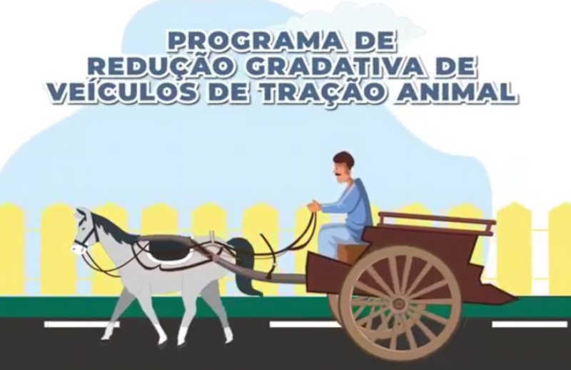 Prefeitura de Uruguaiana (RS) protocola projeto que prevê a redução gradual de veículos de tração animal (carroças)