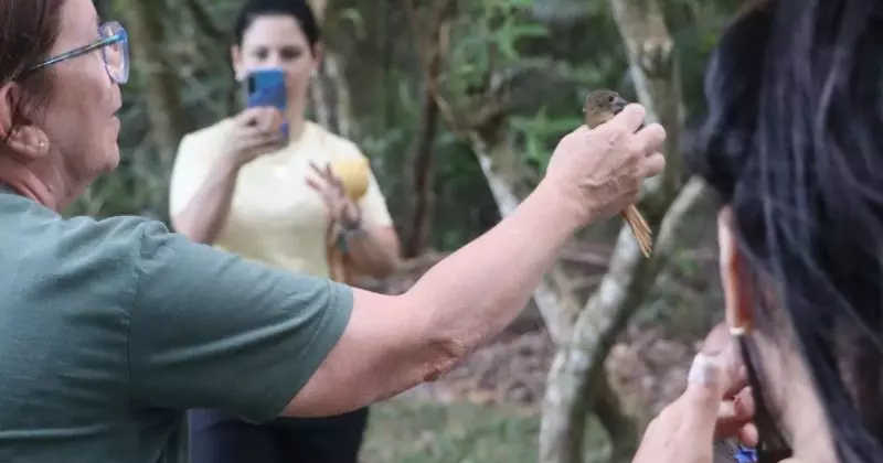 Animais silvestres resgatados são soltos em parque após reabilitação em Balneário Camboriú, SC