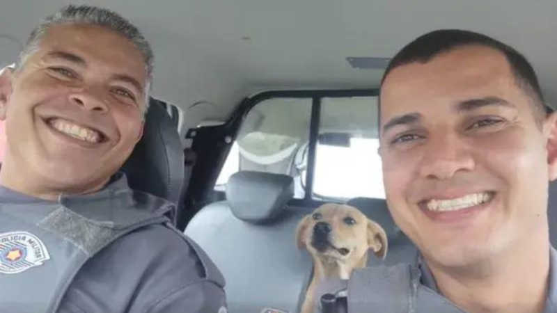 Cachorrinha caramelo resgatada por policiais é adotada pela equipe da PM