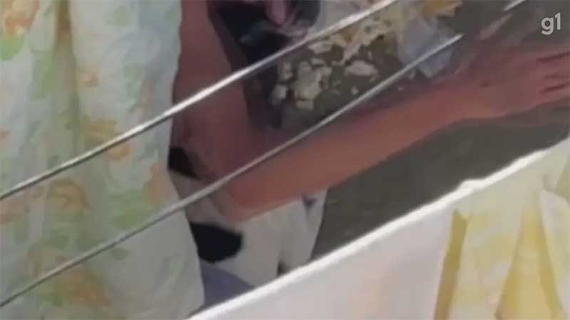 Jovem é flagrado dando tapas na cara de cachorro e acaba indiciado pela Polícia Civil; VÍDEO