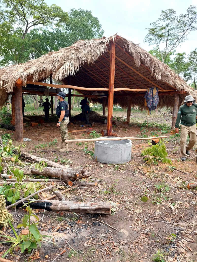 Equipes encontraram barracões na mata — Foto: Divulgação