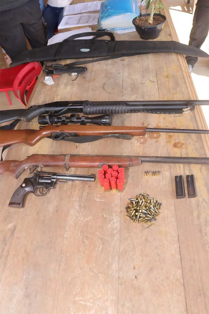 Armas de fogo foram encontradas durante operação em Porto Nacional — Foto: Divulgação/Polícia Civil