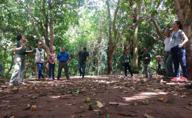 Aula de campo foi realizada na APA Serra do Lajeado - Naturatins/Governo do Tocantins