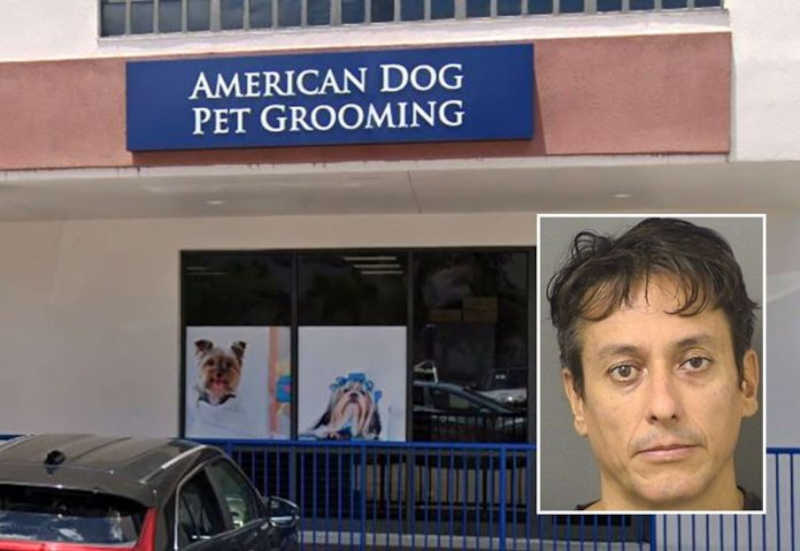 Brasileiro dono de pet shop é preso por maus-tratos a cachorros em Boca Raton, EUA