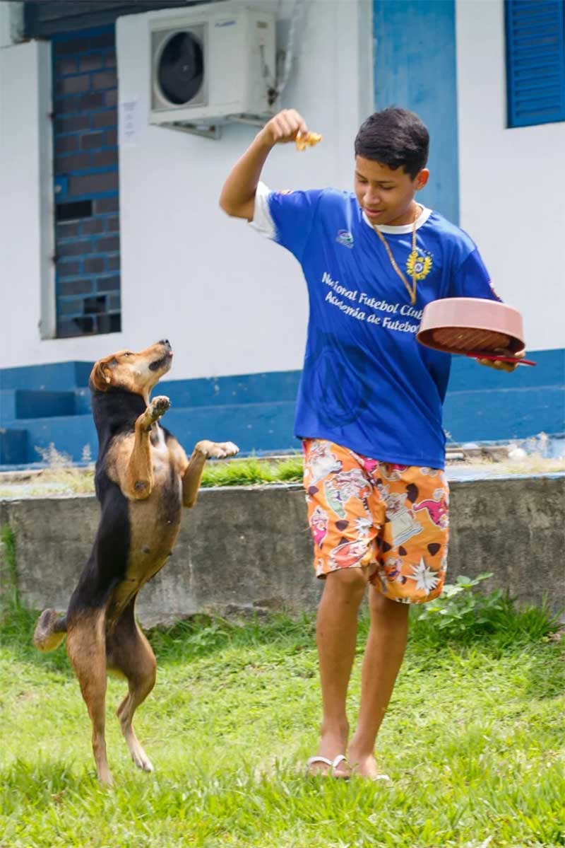 Maior clube de futebol do Amazonas entra na campanha contra os maus-tratos de animais e adota cães
