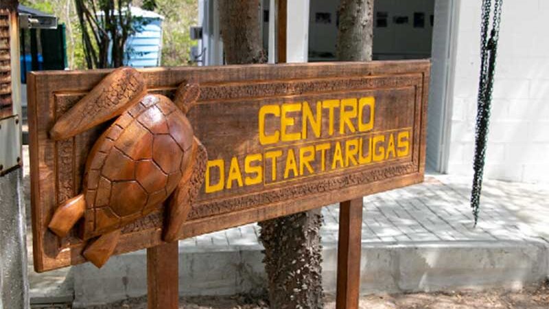 O Centro de Atendimento Emergencial às Tartarugas Marinhas do Estado está localizado no Centro de Estudos Ambientais Costeiros (CEAC) do LABOMAR da UFC, no município de Eusébio (Foto: Ribamar Neto/UFC)
