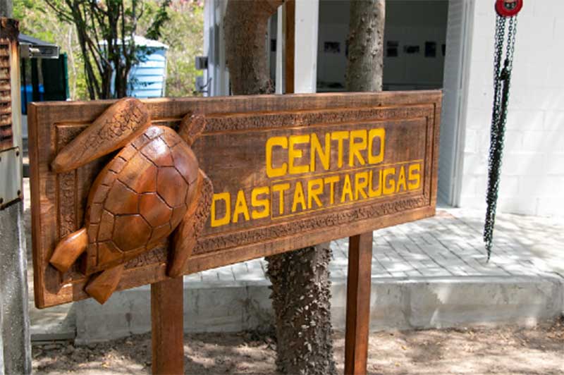 Inaugurado na UFC o primeiro Centro de Atendimento Emergencial às Tartarugas Marinhas do Ceará