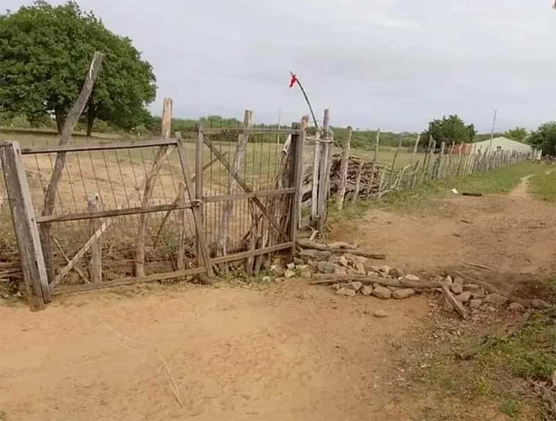 Ladrões invadem propriedade, sequestram ovelhas e antes de fugir matam cão enforcado, no Ceará