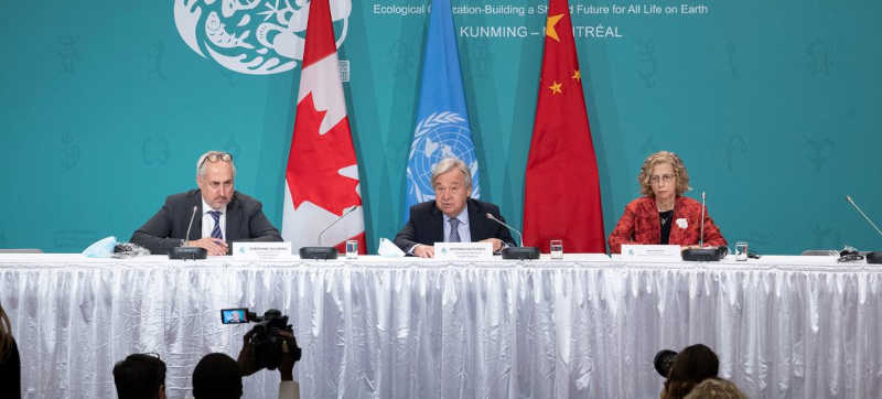 ONU/Evan Schneider O secretário-geral António Guterres (centro) realiza coletiva de imprensa ao lado de Inger Andersen, diretora executiva do Programa das Nações Unidas para o Meio Ambiente (PNUMA) na Conferência de Biodiversidade COP15 em Montreal, Canadá.