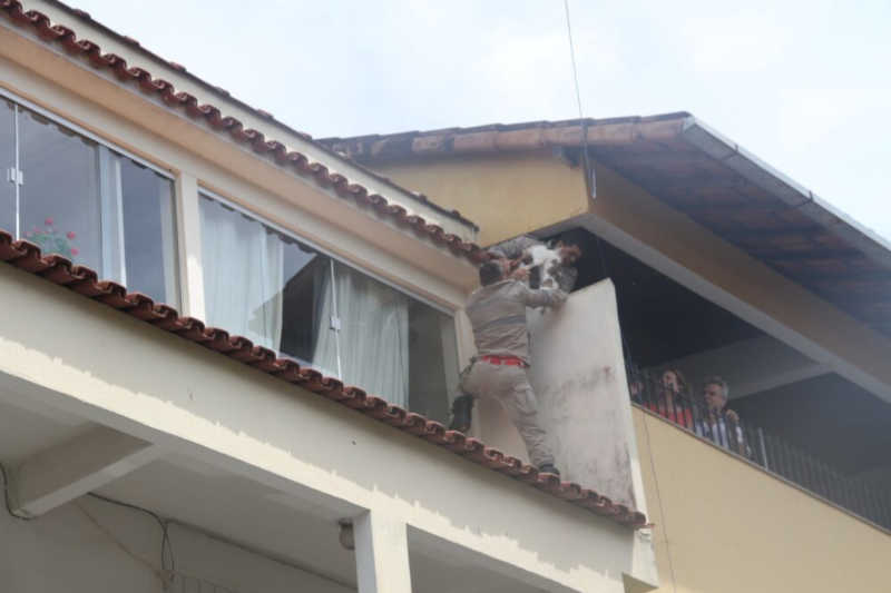 Bombeiros se arriscam e resgatam gato que ficou preso na sacada de prédio em Mimoso, ES