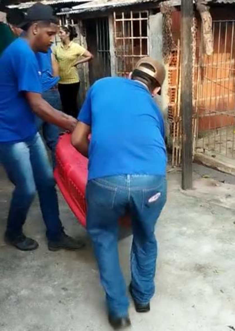 Cães abandonados e que alimentavam de outros cachorros mortos são resgatados em Vila Velha, ES