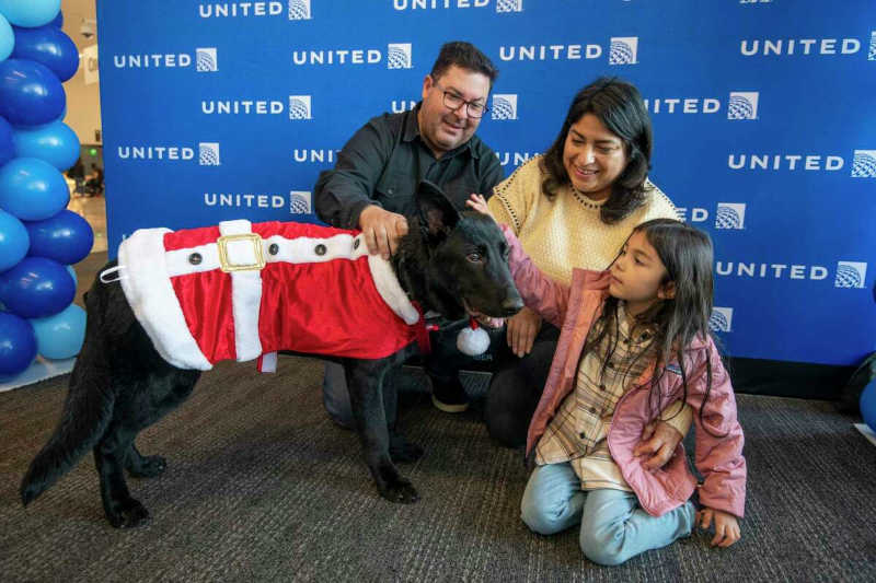 Cachorro abandonado por passageiro no aeroporto é adotado pelo comandante do avião