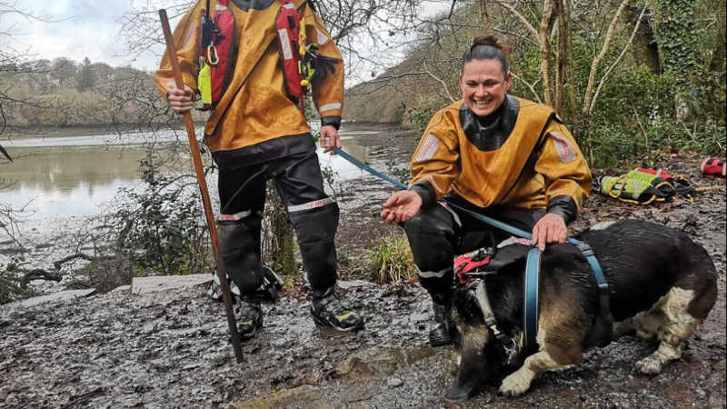 Cão preso na lama e “muito cansado” resgatado por bombeiros na Inglaterra