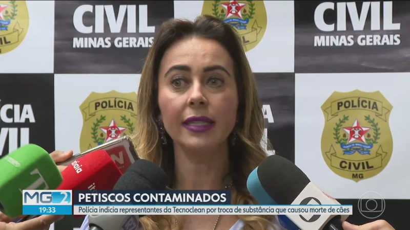 Polícia Civil indiciou 4 funcionários da Tecnoclean nesta sexta-feira (5) — Foto: Reprodução/TV Globo