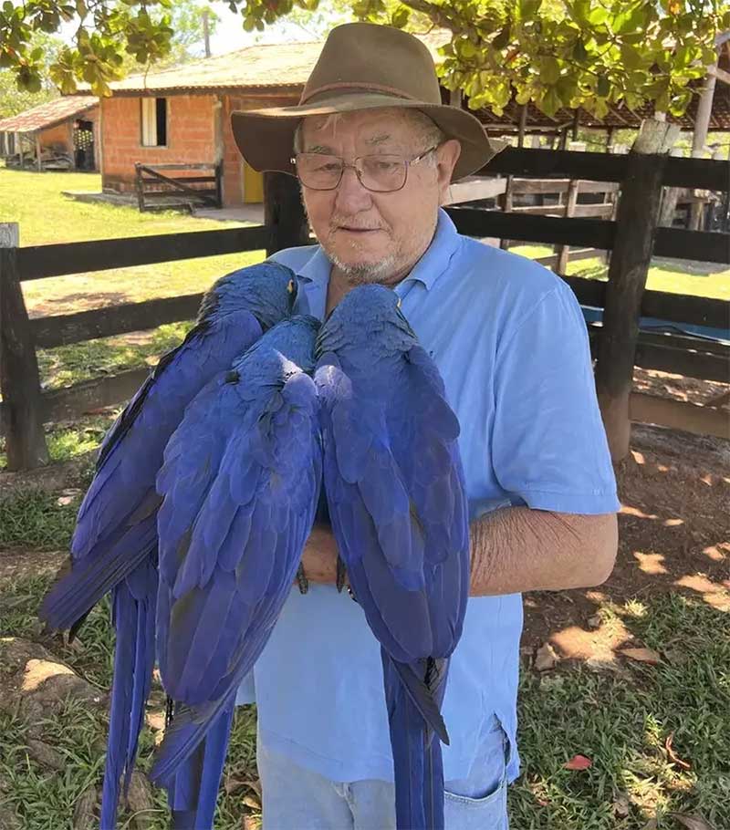 Após vídeo de idoso abraçando araras viralizar, Ibama multa empresário por usar aves como atrativo turístico