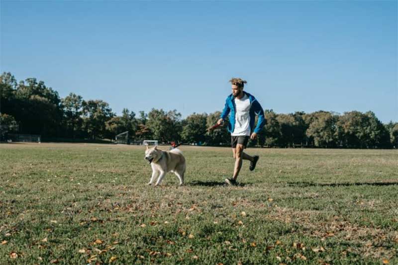 Dourados (MS) libera o passeio de cães e gatos em praças, parques e jardins públicos