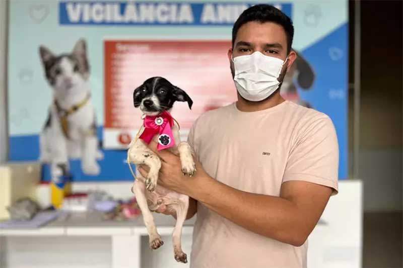 O veterinário Airton de Souza destaca que são assegurados vários serviços para quem se dispuser a adotar (Ândria Almeida/ O Liberal)