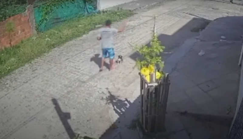 Homem é flagrado agredindo cachorro na zona sul de João Pessoa, PB