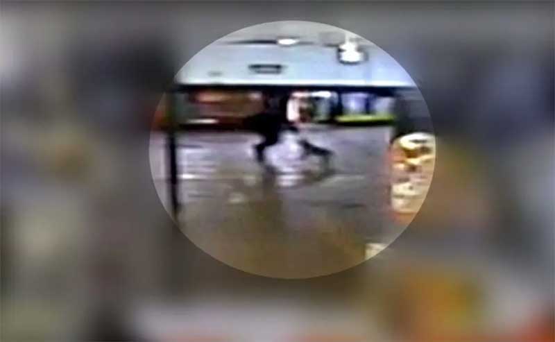 Câmera flagra homem esfaqueando cachorro do terminal do Boqueirão, em Curitiba, PR