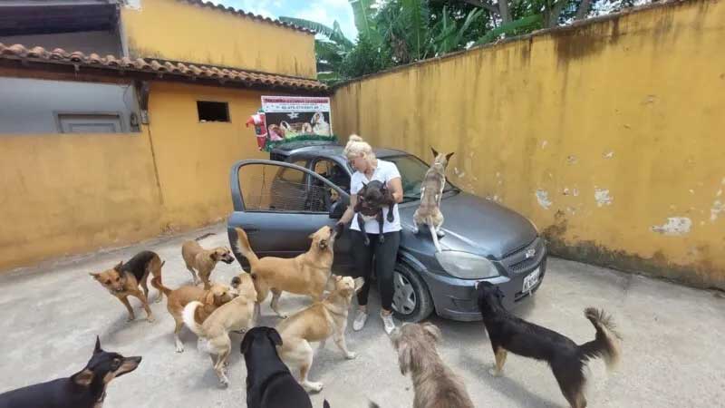 Presidente de ONG que resgata animais pede ajuda para evitar despejo, em Niterói, RJ