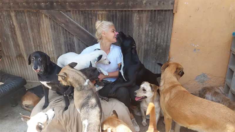 Ozana Garcia se dedica integralmente aos 28 cães e dois gatos do abrigo | Foto: Layla Mussi