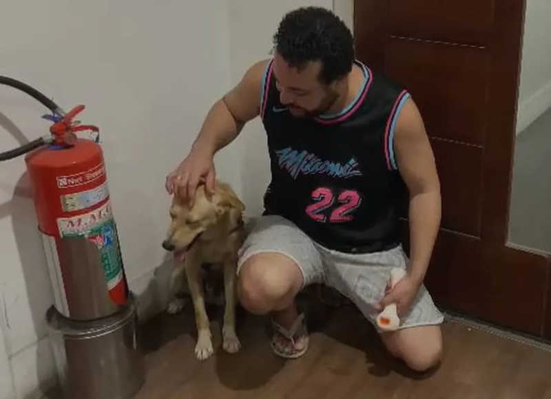 Ator Thii Gouveia realiza campanha para resgatar cãozinho abandonado na Zona Norte do Rio — Foto: Reprodução

