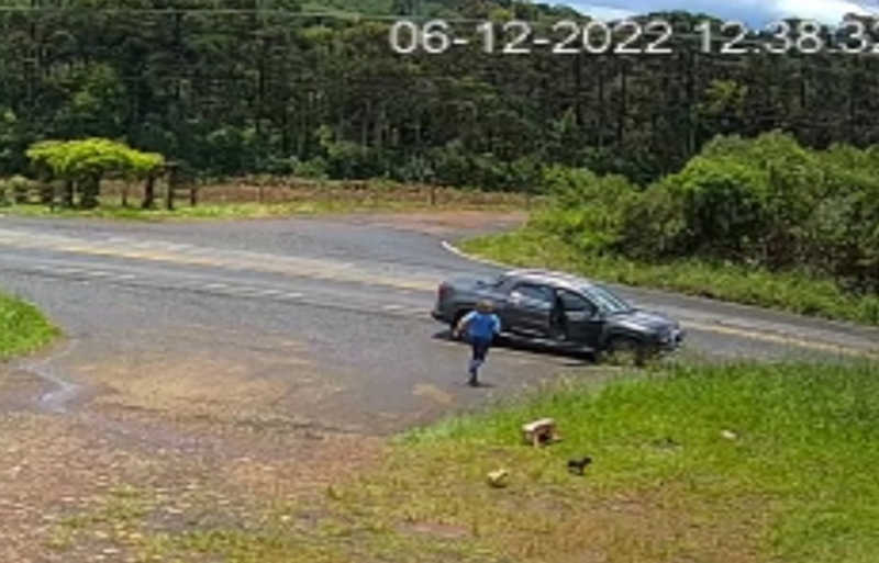 Polícia já identificou mulher que largou cães na rodovia de SC