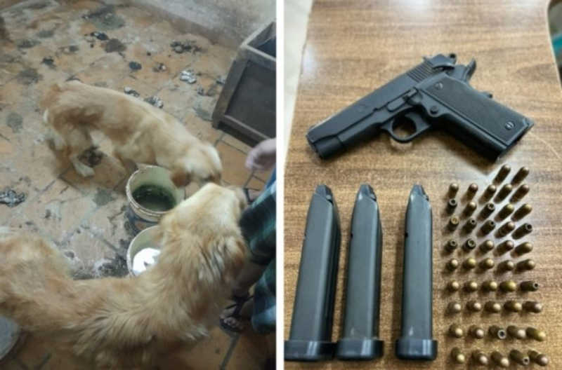 Polícia Militar registra ocorrência de maus-tratos de animais e ameaça com arma de fogo durante patrulhamento em Araras, SP