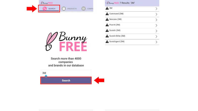 A busca é uma forma mais simples de encontrar resultados na plataforma do Bunny Free sobre marcas específicas — Foto: Reprodução/Nalu Dias

