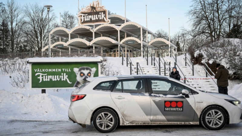 • Imagem mostrando viatura de empresa de segurança estacionada em frente à entrada principal do zoológico de Furuvik, na Suécia, em 15 de dezembro de 2022, depois que vários champanzés fugiram de seu cercado | Fredrik SANDBERG/AFP