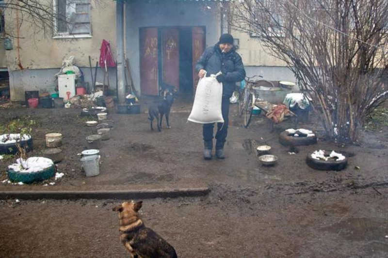 Kharviv, onde Yelena toma conta dos cães, faz fronteira com a Rússia e por isso é um dos locais mais atacados pelas tropas de Moscou. Foto: Sergiy Kozlov/EFE