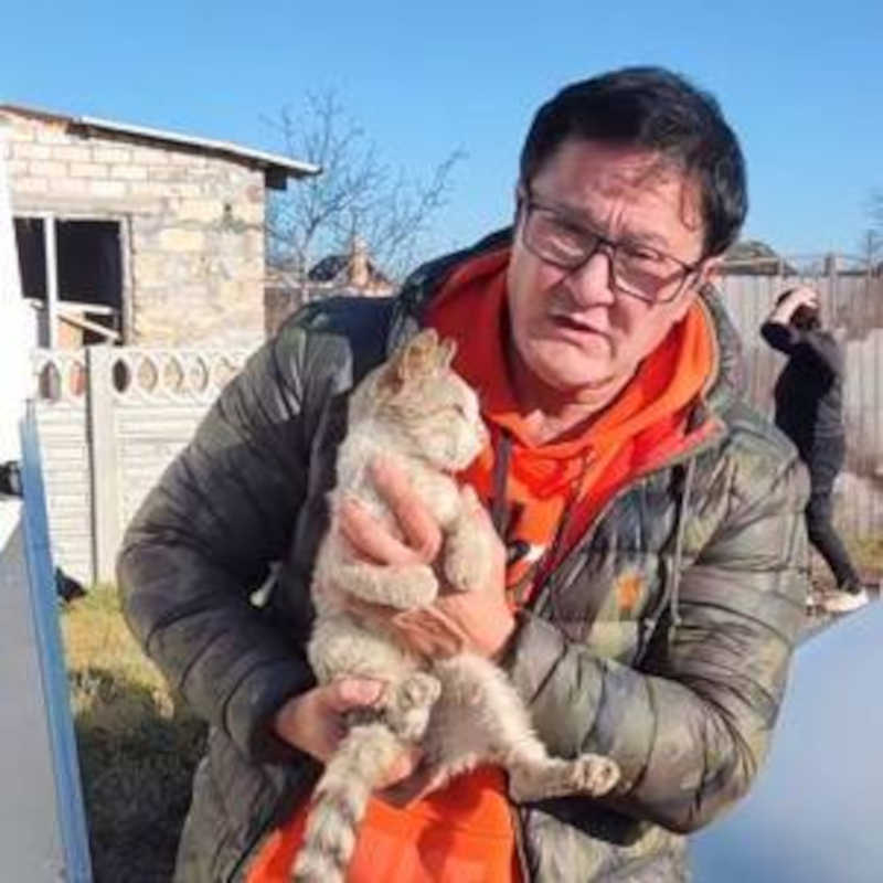 Ex-atleta ucraniana ajuda a salvar gatos e cachorros em meio à guerra