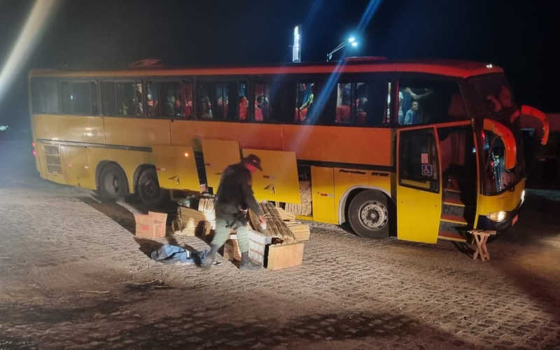 Homem é preso com quase 100 pássaros dentro de ônibus em Palmeira, AL