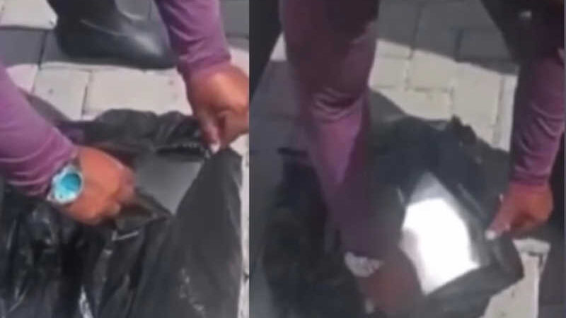 Maus-tratos: Coelho é amarrado vivo em saco de lixo e deixado para morrer em condomínio no Tarumã; veja