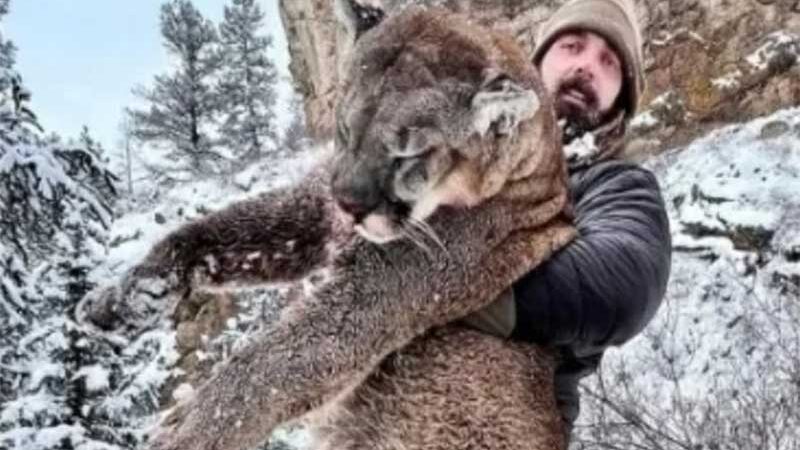 Derek Wolfe segurando o leão da montanha que caçou - Reprodução/Instagram