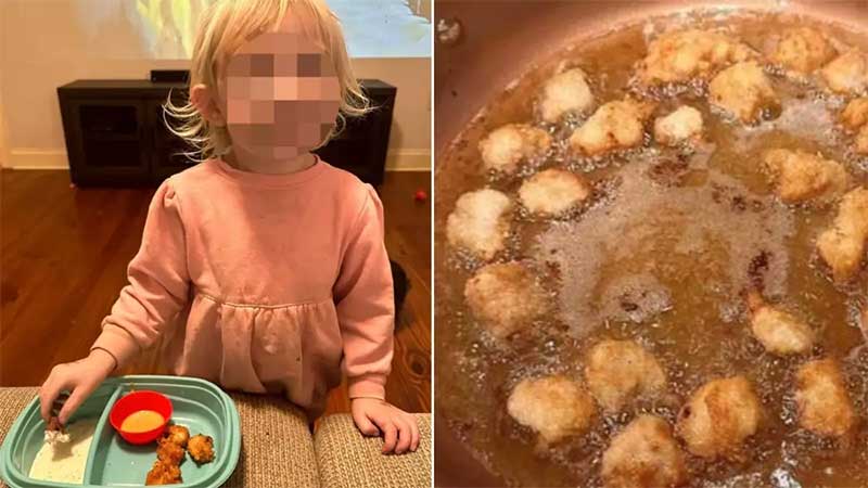 Mãe mata galo de estimação e faz nuggets após animal atacar filha; fotos