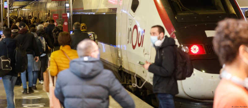 Atropelamento deliberado de gato por trem choca a França