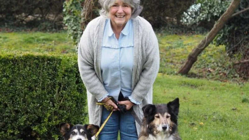 Cães idosos são adotados. Foto: Reprodução/Facebook — 30.01.2023
