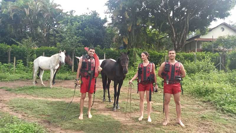 VÍDEO: cavalo se afoga em açude e precisa ser resgatado em Divinópolis, MG