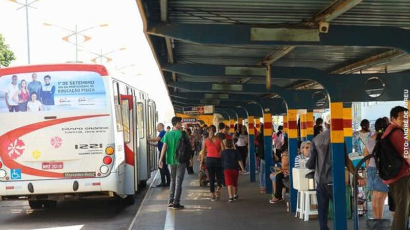 Prefeita veta transporte de animais domésticos em ônibus - Crédito: André de Abreu