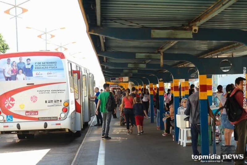 Prefeita de Campo Grande (MS) veta transporte de animais domésticos em ônibus